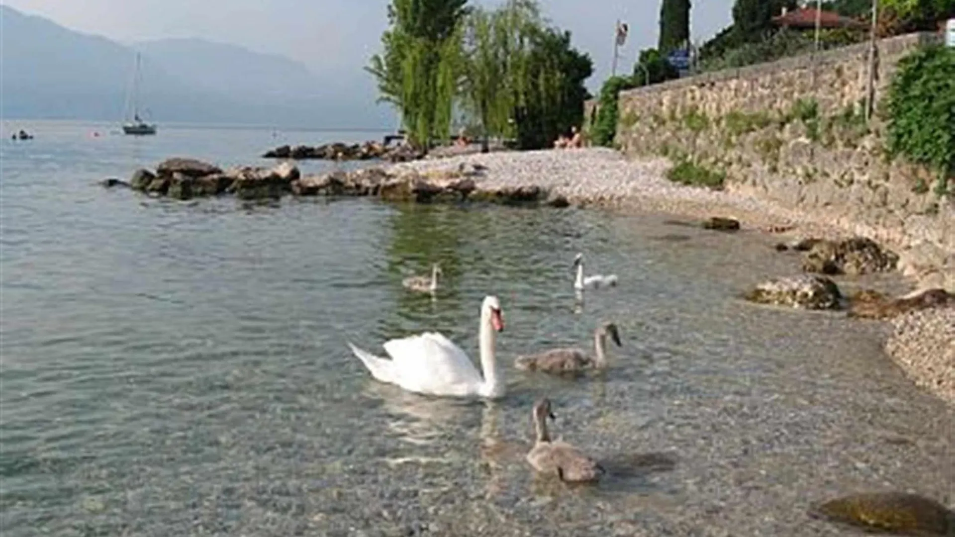 Apartment Residence Florida B5200M Dal Lago Balcone Ac Lazise